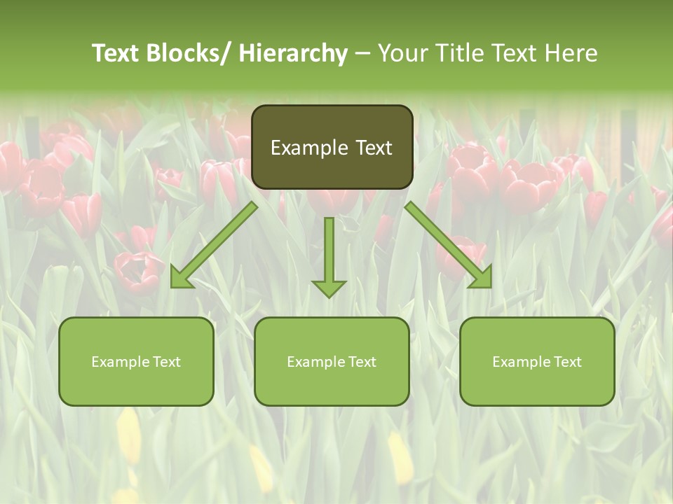 Tulip Beautiful Landscape PowerPoint Template