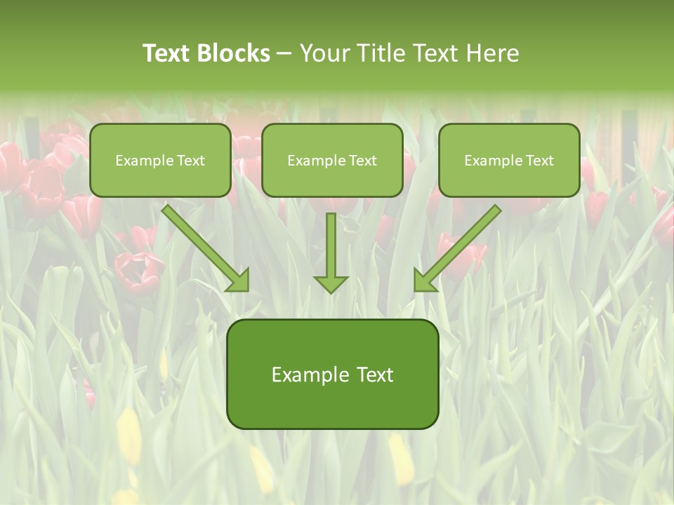 Tulip Beautiful Landscape PowerPoint Template