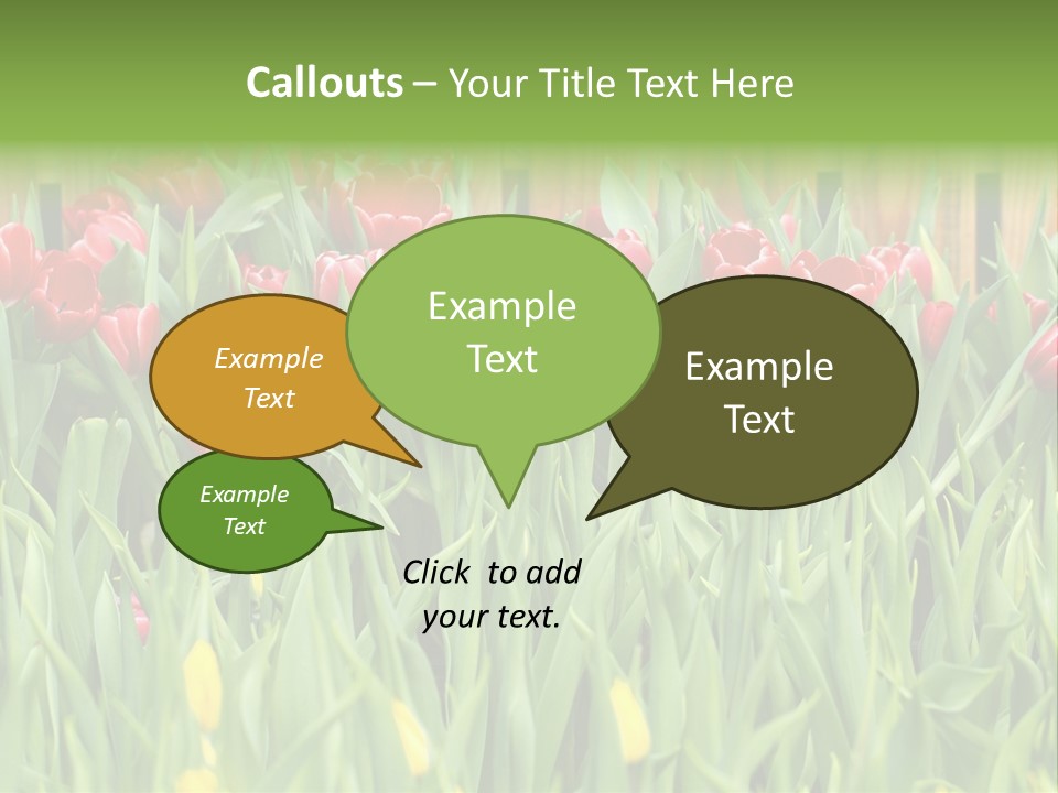Tulip Beautiful Landscape PowerPoint Template