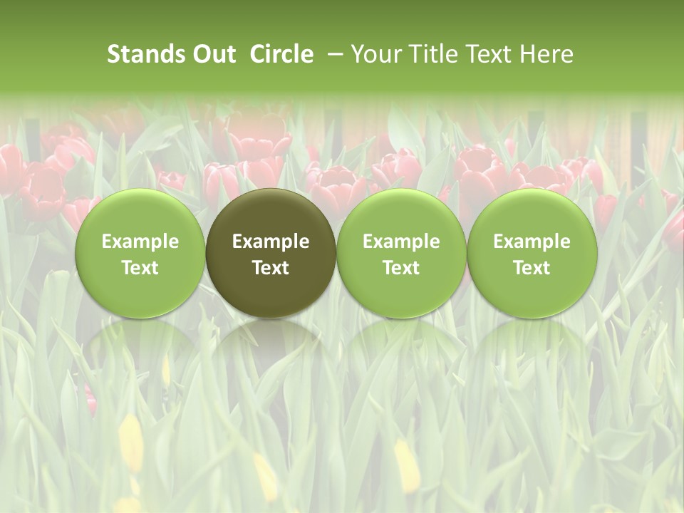 Tulip Beautiful Landscape PowerPoint Template