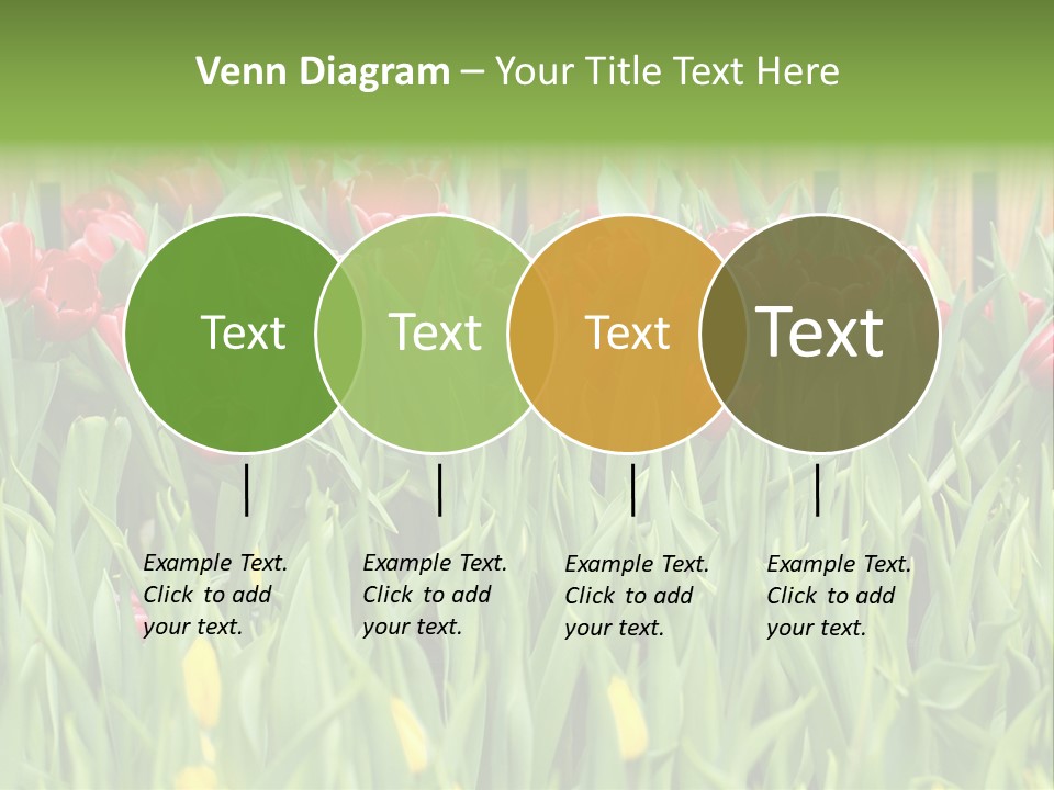 Tulip Beautiful Landscape PowerPoint Template