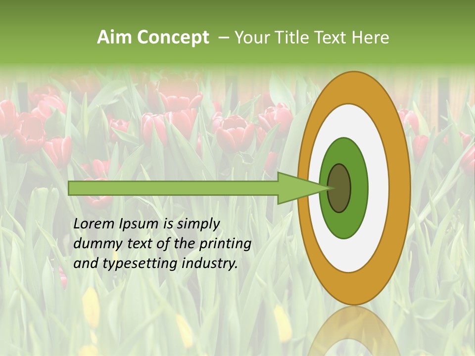 Tulip Beautiful Landscape PowerPoint Template