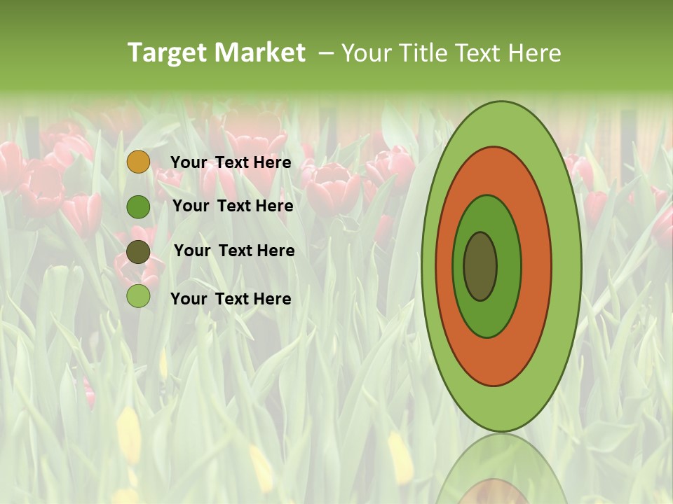 Tulip Beautiful Landscape PowerPoint Template