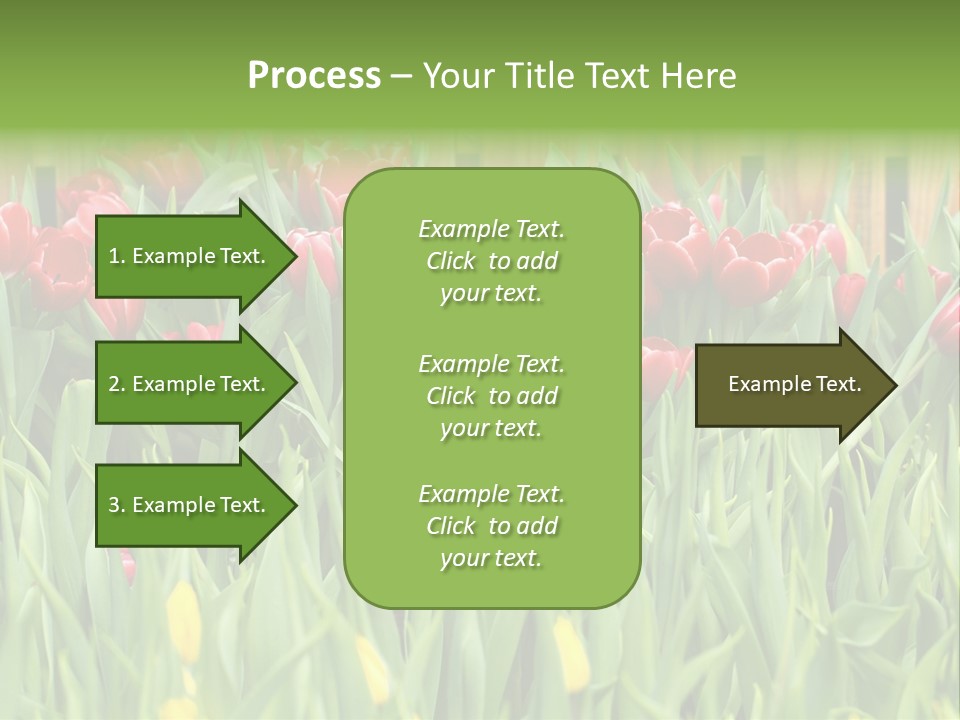 Tulip Beautiful Landscape PowerPoint Template