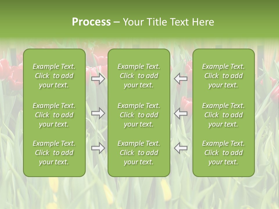 Tulip Beautiful Landscape PowerPoint Template