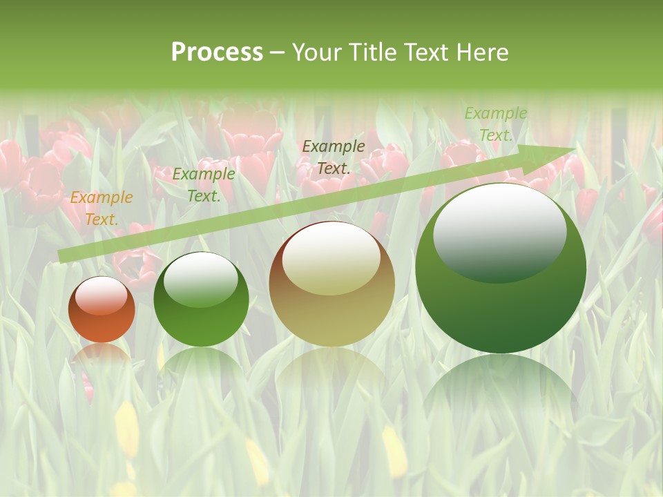 Tulip Beautiful Landscape PowerPoint Template