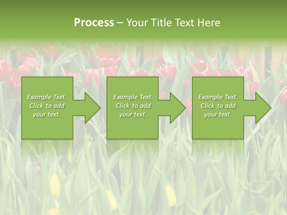Tulip Beautiful Landscape PowerPoint Template
