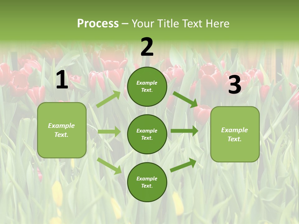 Tulip Beautiful Landscape PowerPoint Template