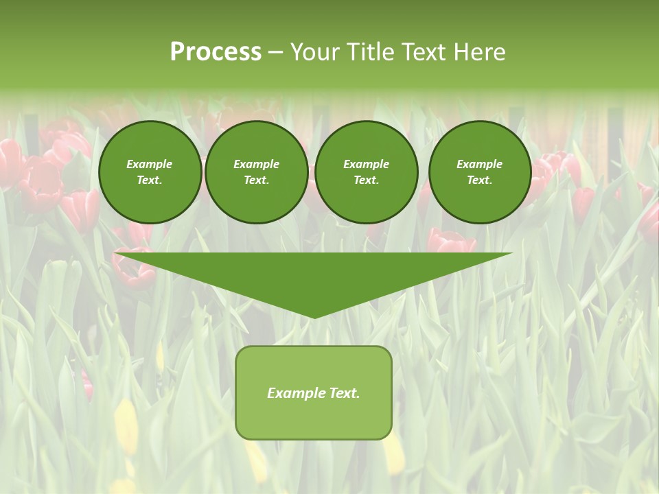 Tulip Beautiful Landscape PowerPoint Template