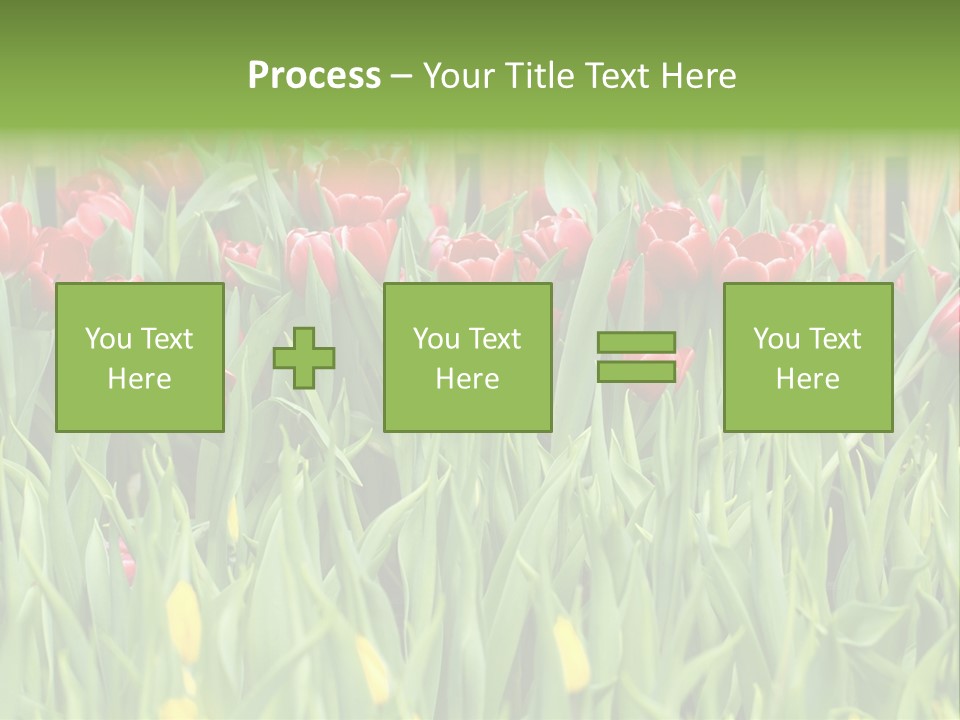 Tulip Beautiful Landscape PowerPoint Template