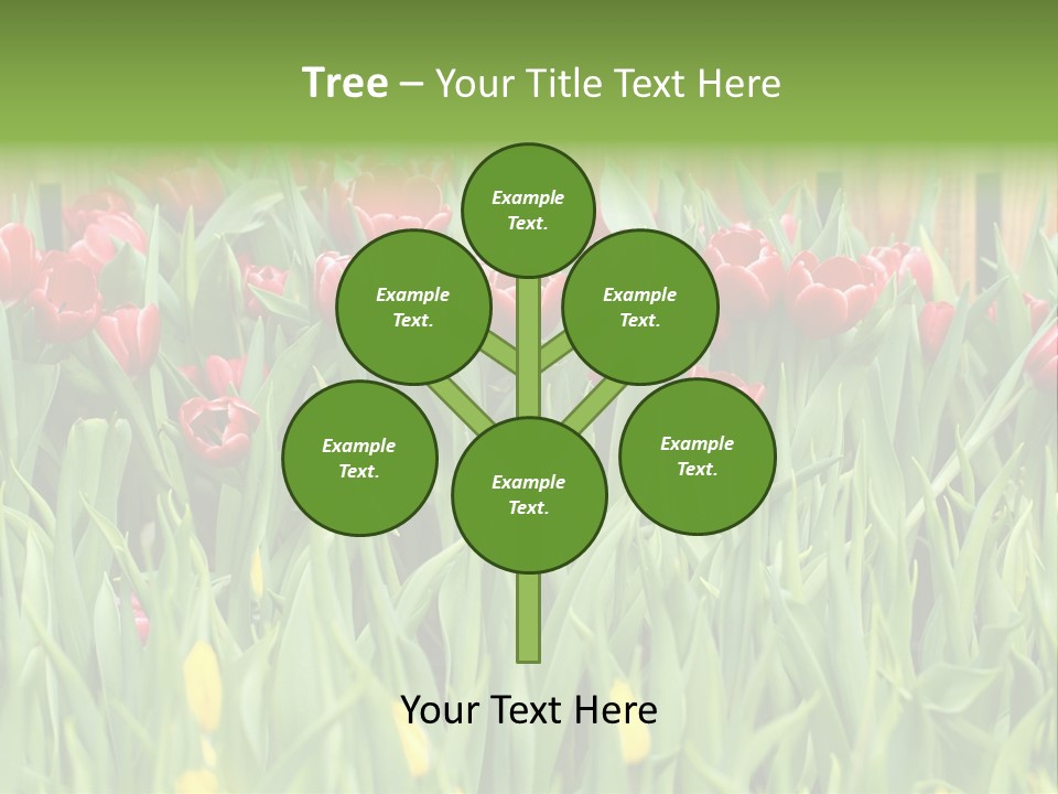 Tulip Beautiful Landscape PowerPoint Template