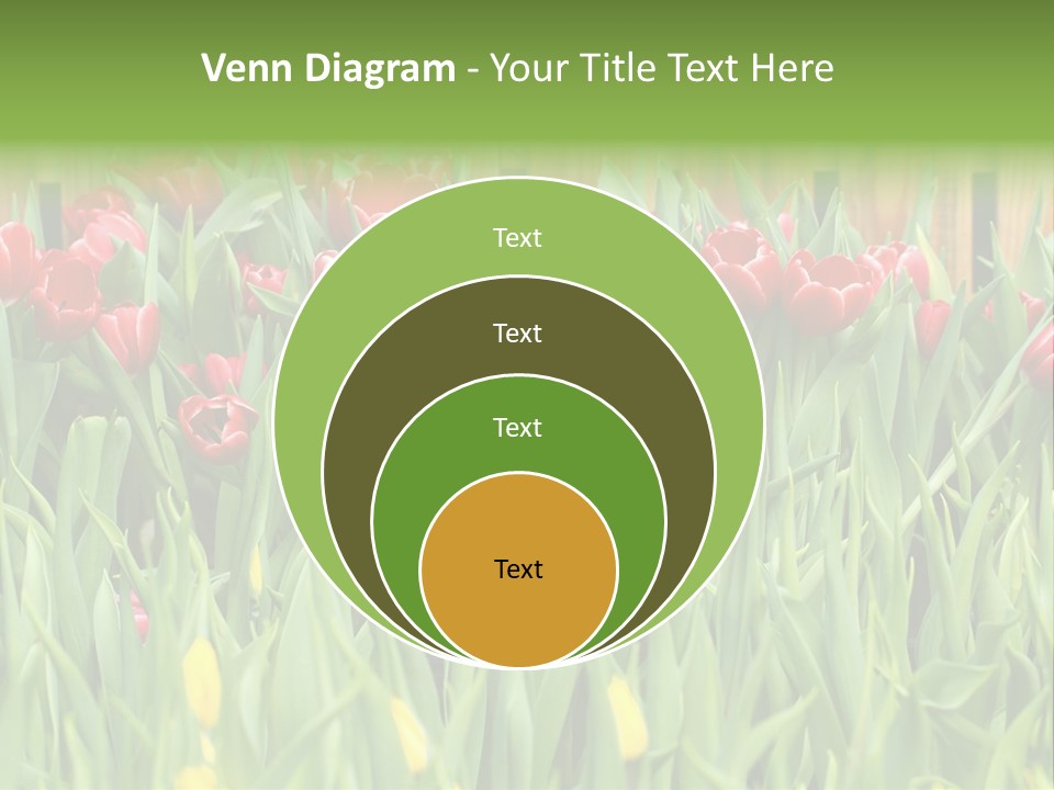 Tulip Beautiful Landscape PowerPoint Template