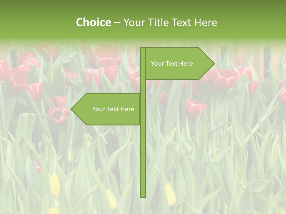 Tulip Beautiful Landscape PowerPoint Template