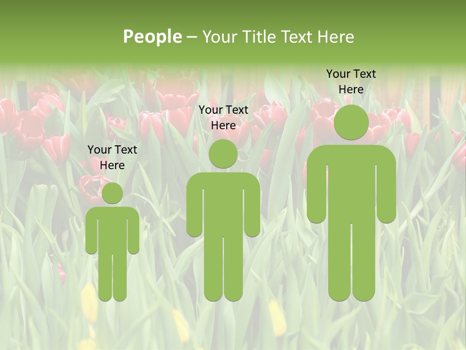 Tulip Beautiful Landscape PowerPoint Template