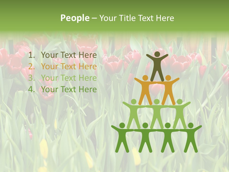 Tulip Beautiful Landscape PowerPoint Template