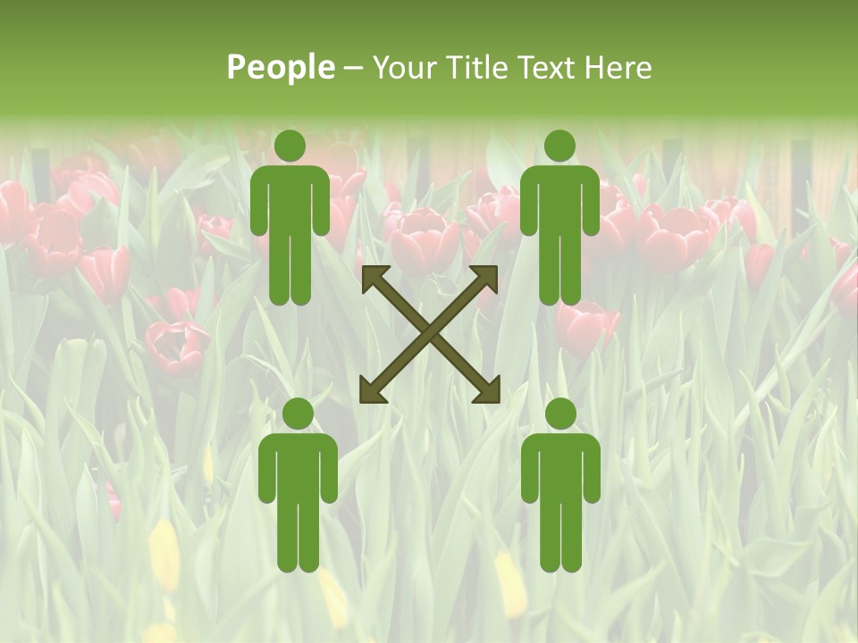 Tulip Beautiful Landscape PowerPoint Template