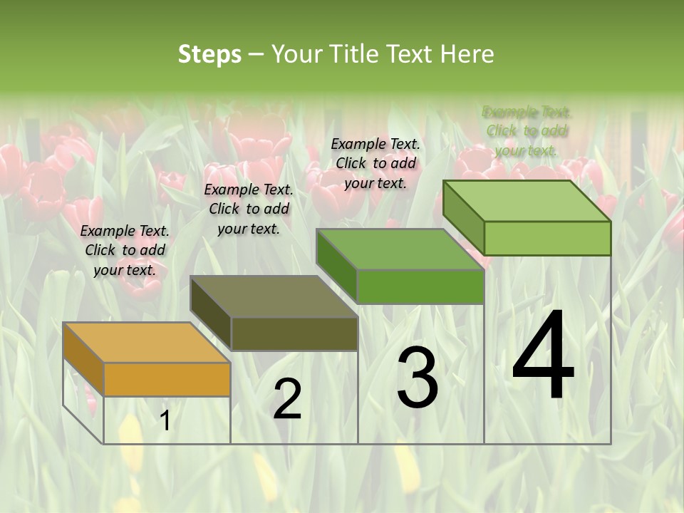 Tulip Beautiful Landscape PowerPoint Template