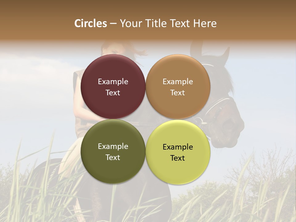 Stallion Rural Beauty PowerPoint Template