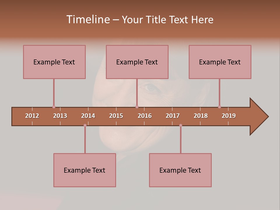 Chancellor German Successful PowerPoint Template