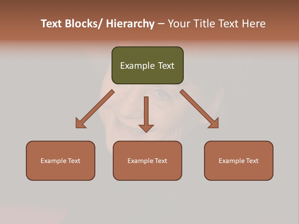 Chancellor German Successful PowerPoint Template