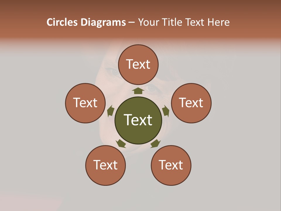 Chancellor German Successful PowerPoint Template