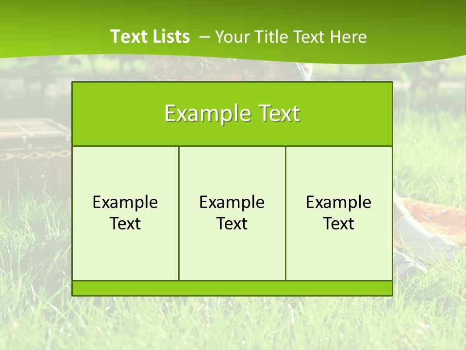 Two Basket Picnic PowerPoint Template