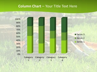 Two Basket Picnic PowerPoint Template