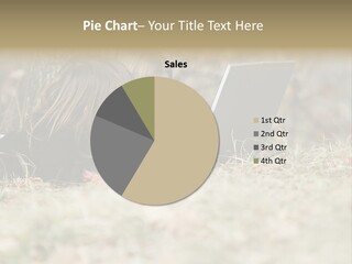 Read Forest Happiness PowerPoint Template