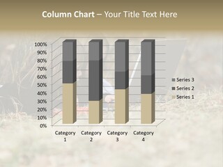 Read Forest Happiness PowerPoint Template