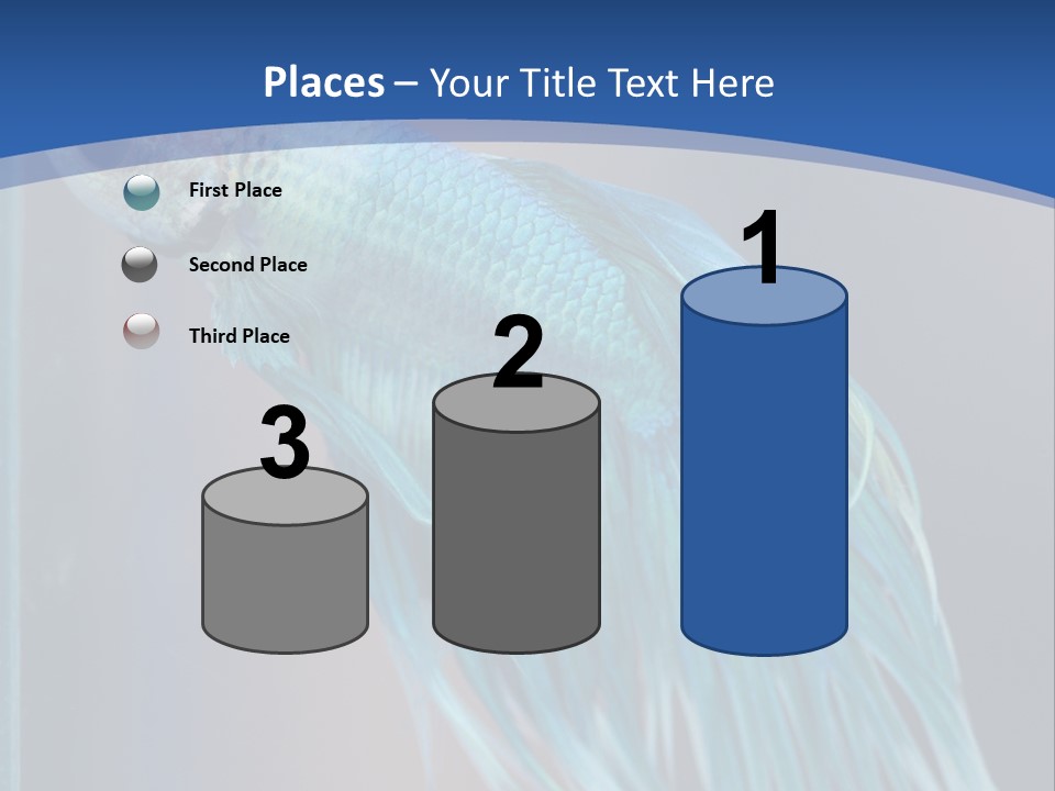 Dive Isolated Siam PowerPoint Template