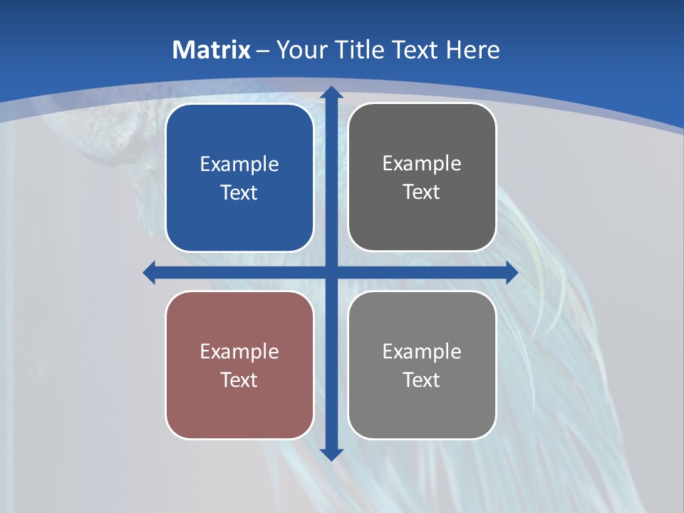 Dive Isolated Siam PowerPoint Template