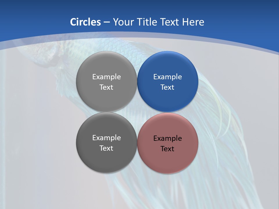Dive Isolated Siam PowerPoint Template