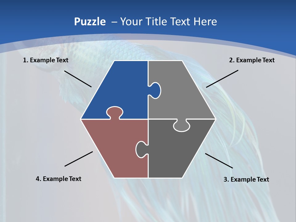 Dive Isolated Siam PowerPoint Template