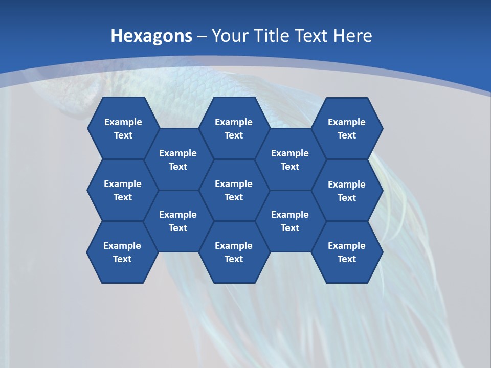 Dive Isolated Siam PowerPoint Template