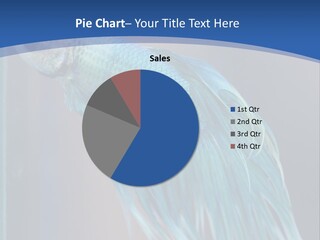 Dive Isolated Siam PowerPoint Template