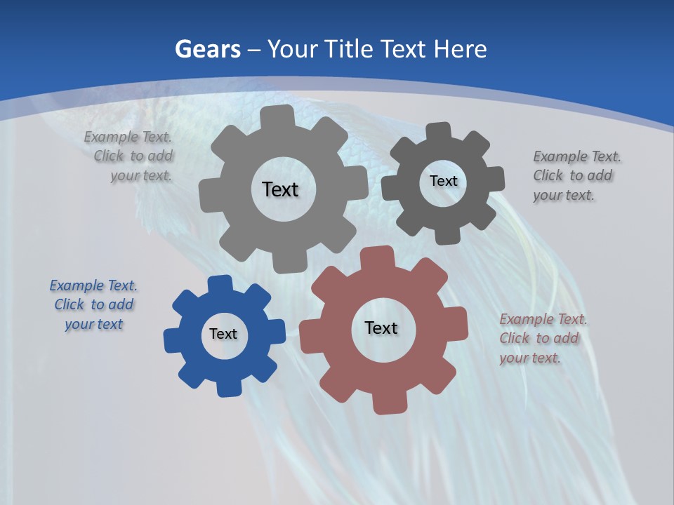 Dive Isolated Siam PowerPoint Template