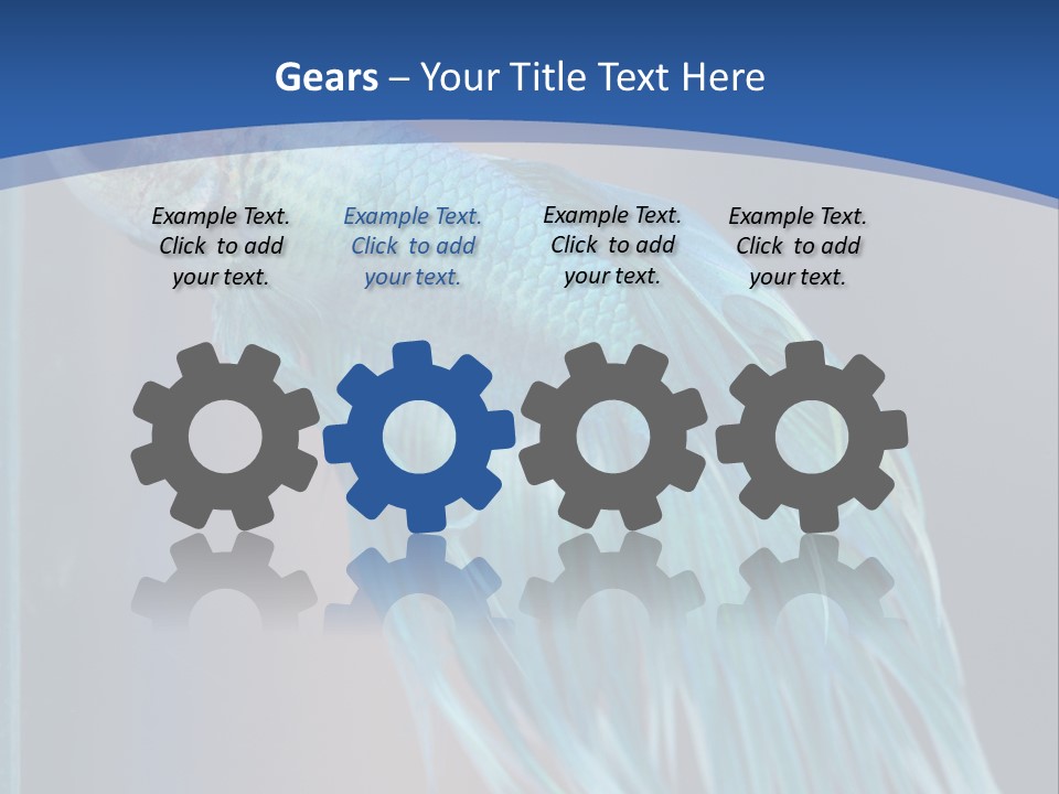 Dive Isolated Siam PowerPoint Template