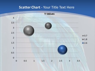 Dive Isolated Siam PowerPoint Template