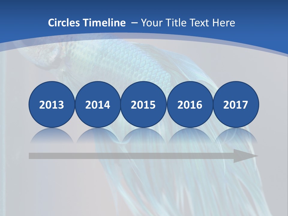 Dive Isolated Siam PowerPoint Template