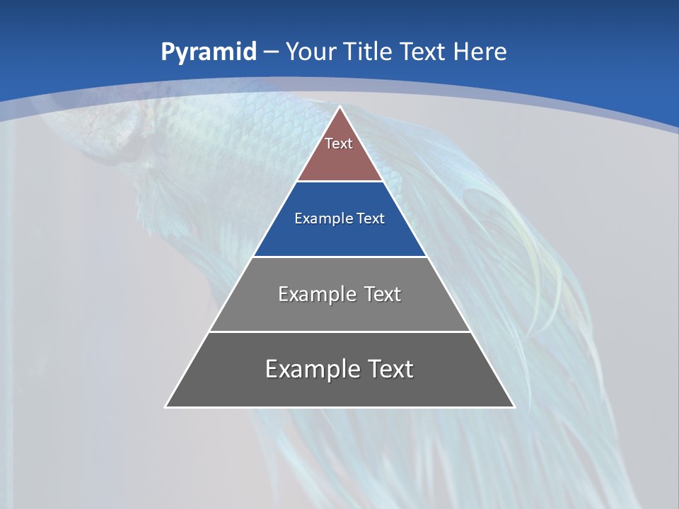 Dive Isolated Siam PowerPoint Template