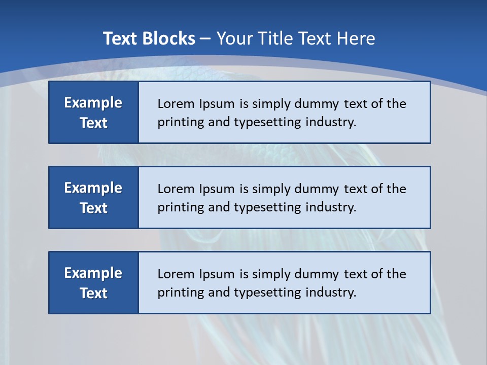 Dive Isolated Siam PowerPoint Template