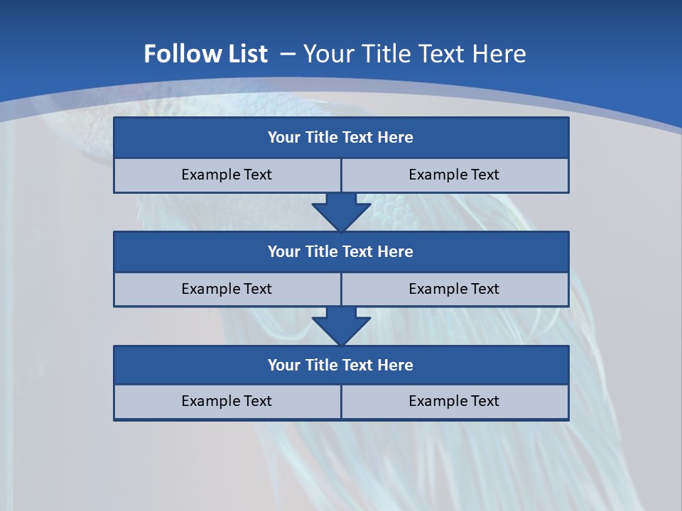 Dive Isolated Siam PowerPoint Template