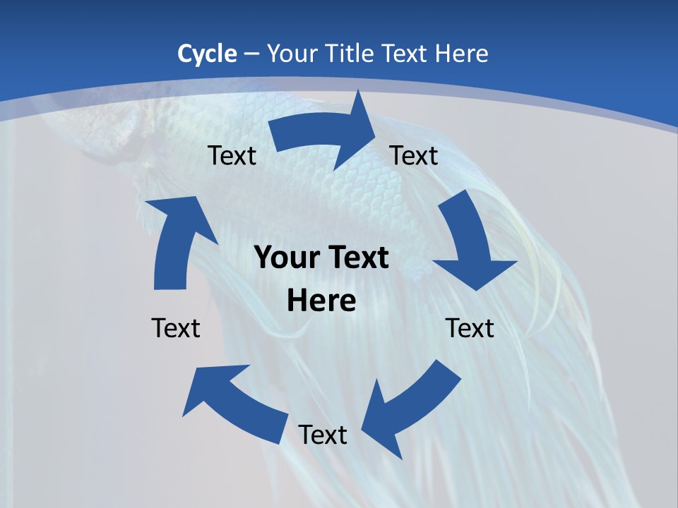 Dive Isolated Siam PowerPoint Template