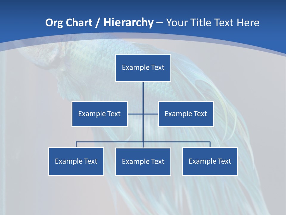 Dive Isolated Siam PowerPoint Template