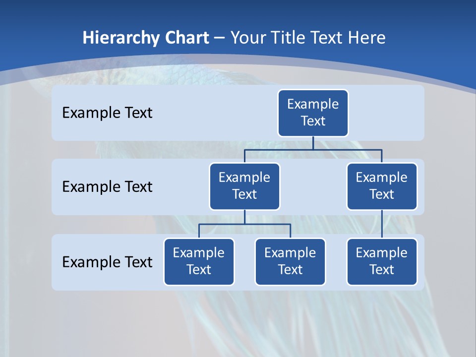 Dive Isolated Siam PowerPoint Template