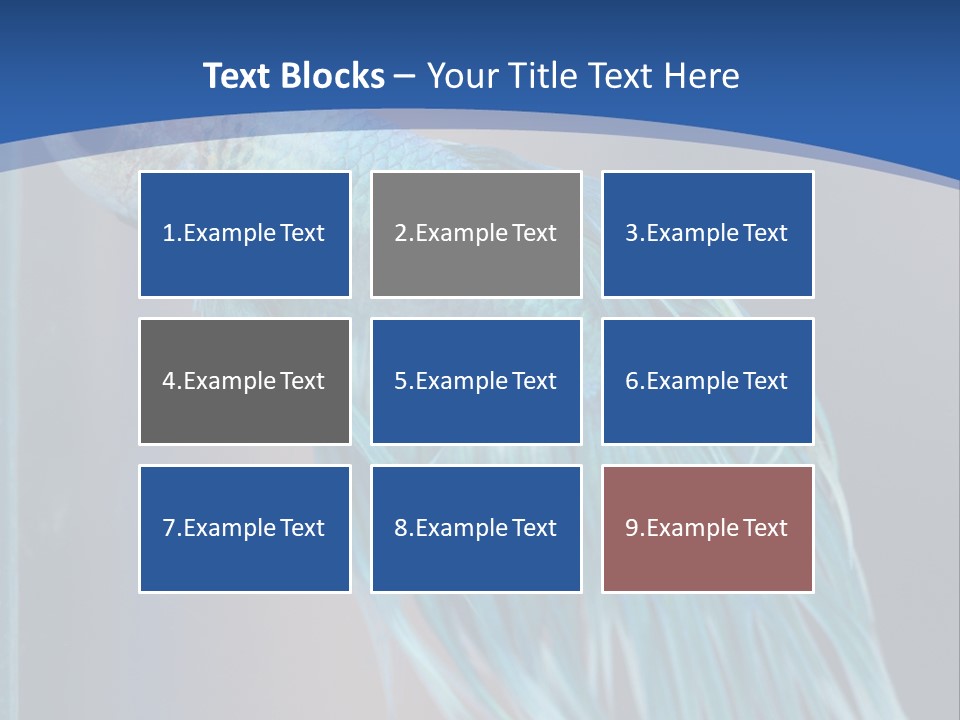 Dive Isolated Siam PowerPoint Template