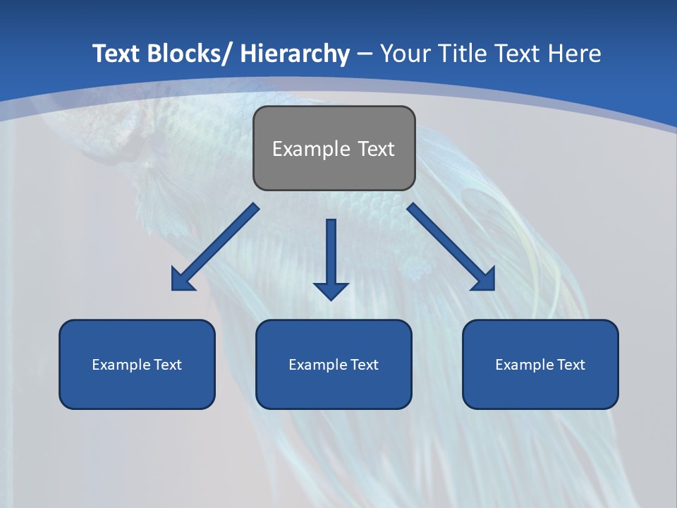 Dive Isolated Siam PowerPoint Template