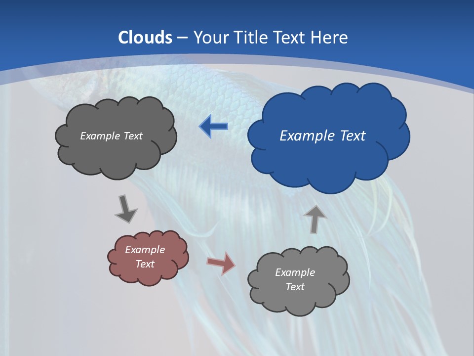 Dive Isolated Siam PowerPoint Template