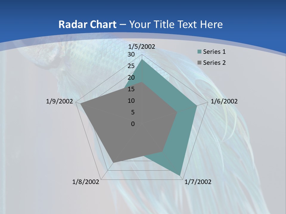 Dive Isolated Siam PowerPoint Template