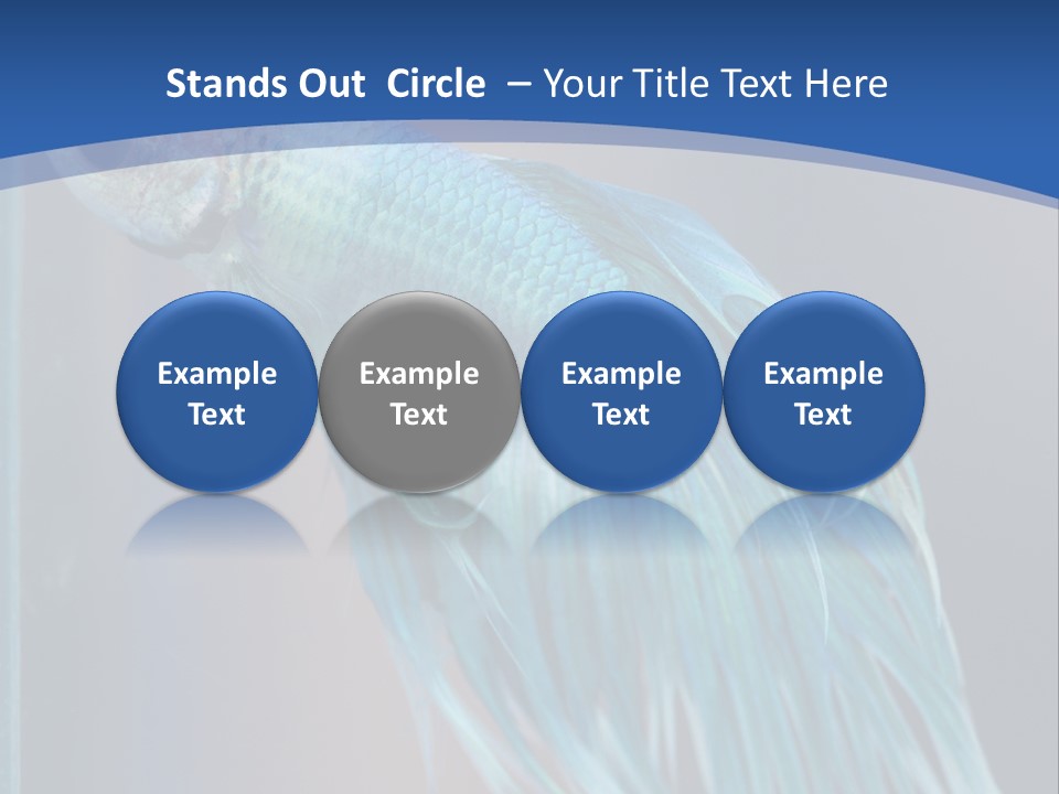 Dive Isolated Siam PowerPoint Template